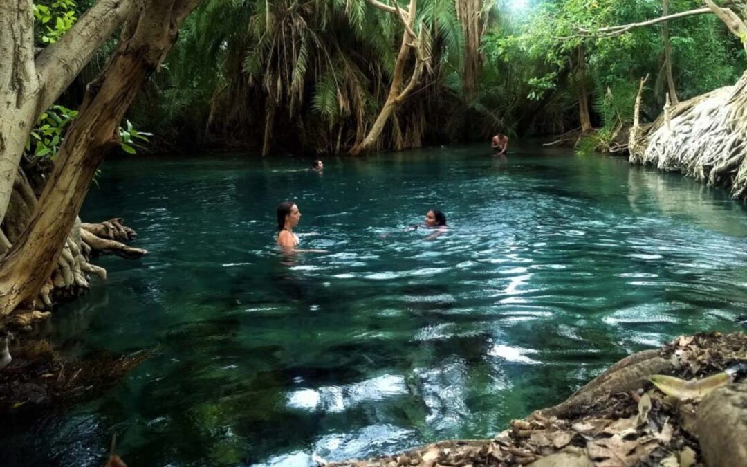 Kikuletwa (Chemka) Hot Springs