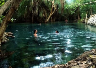 Kikuletwa (Chemka) Hot Springs