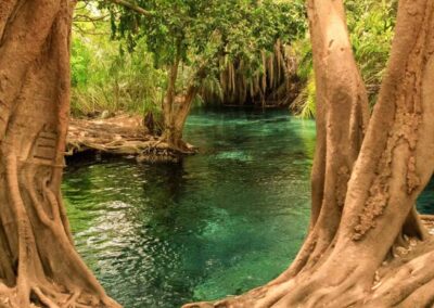 Kikuletwa (Chemka) Hot Springs