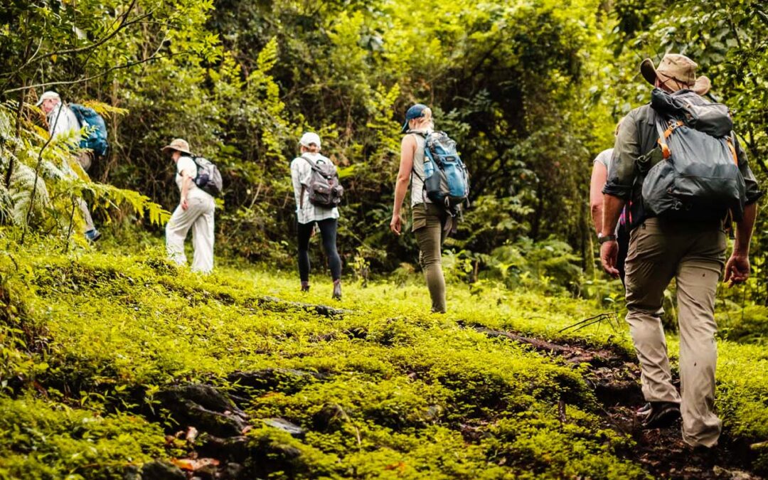 Walking safari in Arusha national park